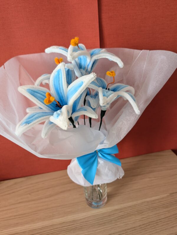 PXL_20251031_105112713 Fleur de sérénité Zelda